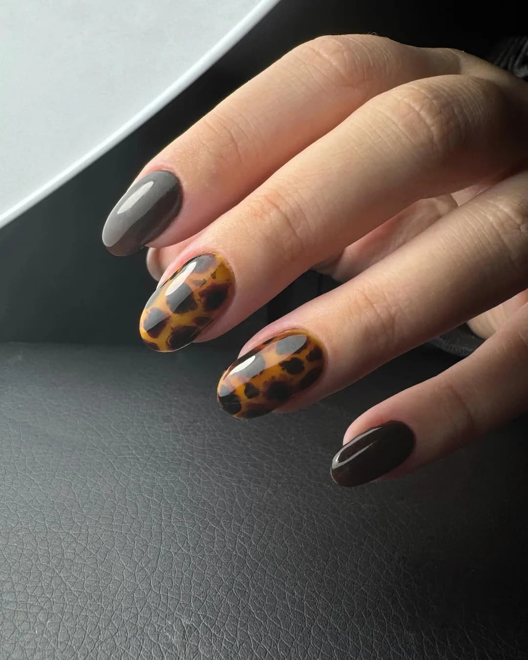 Écaille de tortue, ongles gris et chocolat