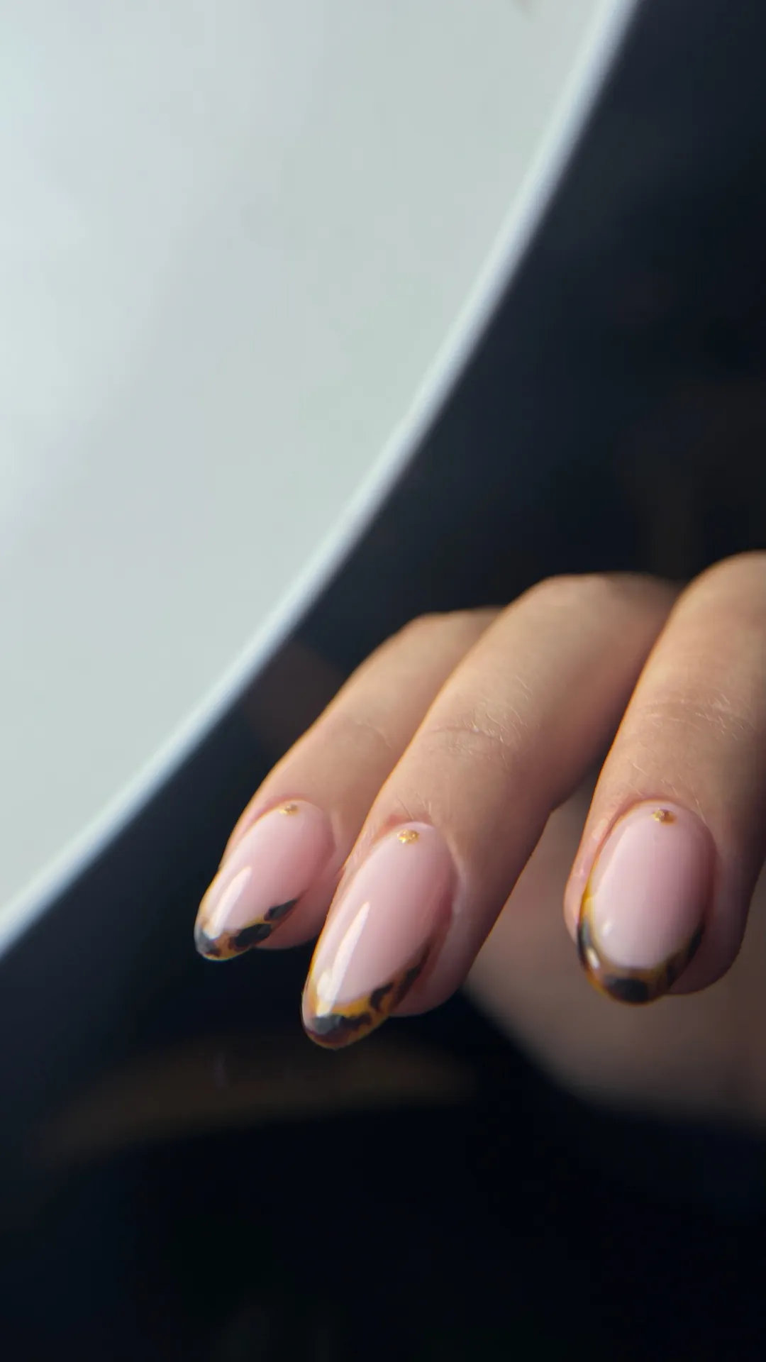 French écaille de tortue tendance